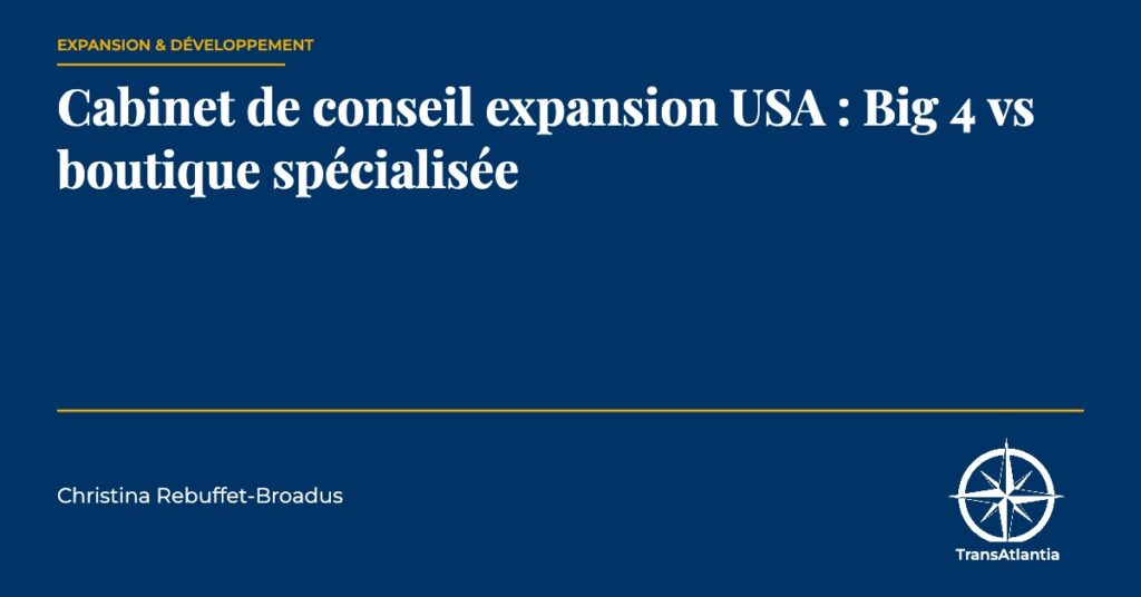 Big 4 vs boutique conseil USA — Christina Rebuffet